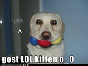 ^ gost LOL kitten o_0