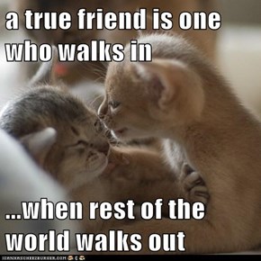 a true friend is one who walks in