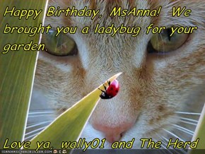 Happy Birthday, MsAnna!  We brought you a ladybug for your garden.  Love ya, wally01 and The Herd