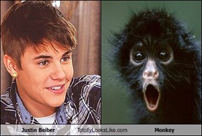 Justin Beiber Totally Looks Like Monkey