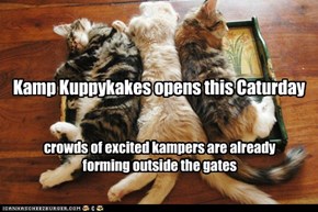 Kamp Kuppykakes opens this Caturday