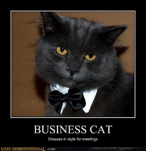 BUSINESS CAT