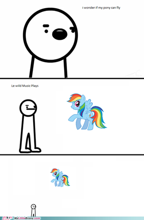 I Wonder that My Pony can Fly