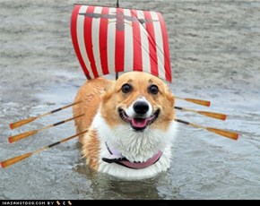 Good Ship Corgi 