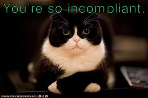 You're so incompliant.