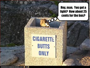 Hey, man.  You got a light?  How about 25 cents for the bus?