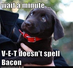 wait a minute ...  V-E-T doesn't spell Bacon