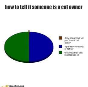 how to tell if someone is a cat owner