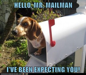 HELLO, MR. MAILMAN  I'VE BEEN EXPECTING YOU!