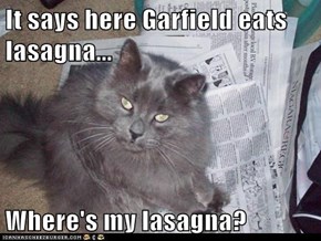 It says here Garfield eats lasagna...  Where's my lasagna?