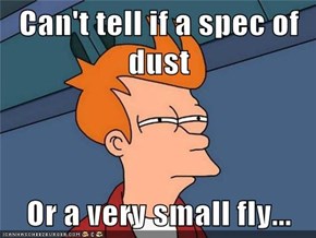 Can't tell if a spec of dust  Or a very small fly...