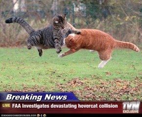 Breaking News - FAA Investigates devastating hovercat collision