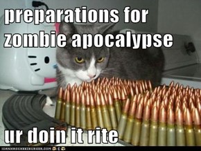 preparations for zombie apocalypse  ur doin it rite