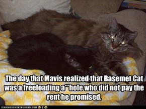 The day that Mavis realized that Basemet Cat was a freeloading a**hole who did not pay the rent he promised.