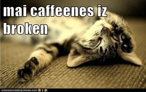 mai caffeenes iz broken