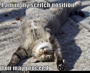 I am in my scritch position  You may proceed