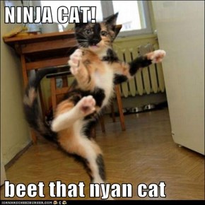 NINJA CAT!  beet that nyan cat