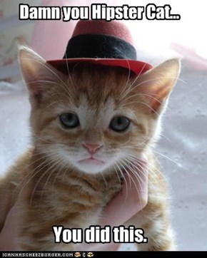 Hipster Kitten
