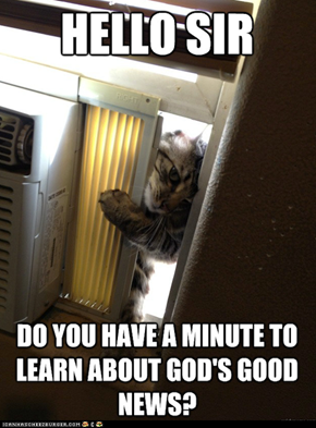 Jehovah cat
