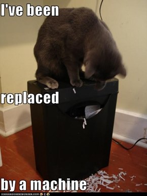 Classic LOLcat