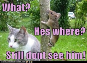 What? Hes where?  Still dont see him!