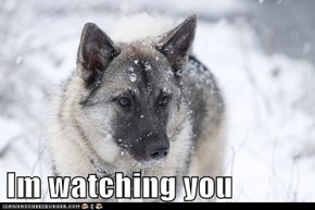 Im watching you