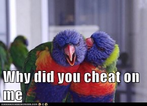 Why did you cheat on me