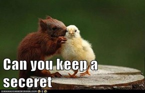 Can you keep a seceret