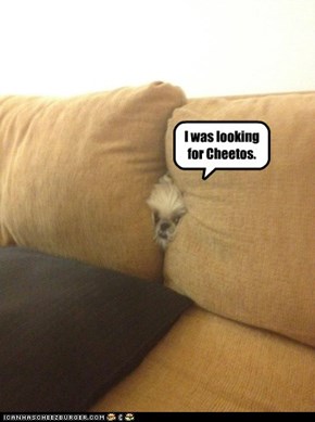 I was looking for Cheetos.