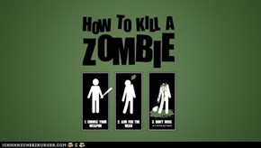 How to kill a zombie