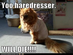 Yoo haredresser.  WILL DIE!!!!
