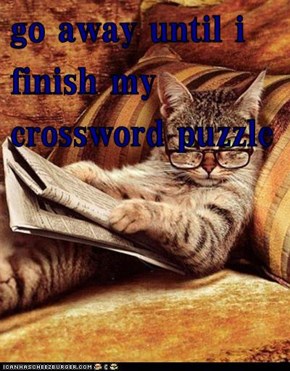 go away until i finish my crossword puzzle