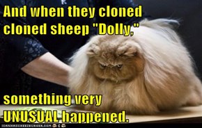 And when they cloned        cloned sheep "Dolly,"  something very                 UNUSUAL happened.