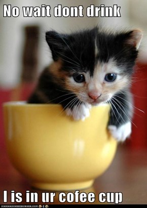 No wait dont drink  I is in ur cofee cup