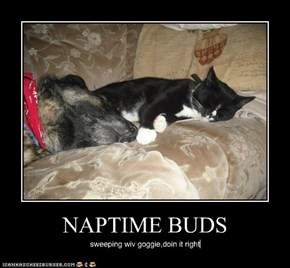 NAPTIME BUDS