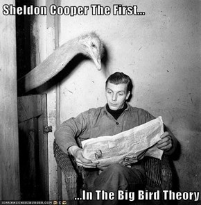 Sheldon Cooper The First...  ...In The Big Bird Theory