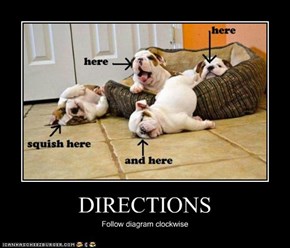 DIRECTIONS