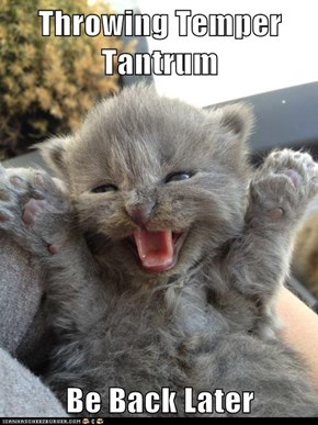 Throwing Temper Tantrum  Be Back Later