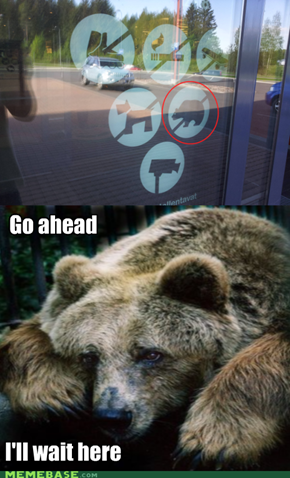 Bears aren't Welcome Anymore