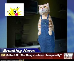 Breaking News - Collect ALL The Things is down. Temporarily?