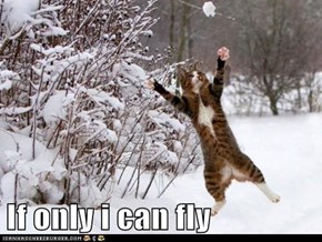 If only i can fly