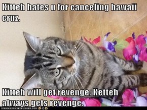 Kitteh hates u for canceling hawaii cruz.  Kitteh will get revenge. Ketteh always gets revenge.