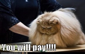 You will pay!!!!