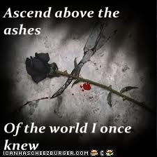 Ascend above the ashes  Of the world I once knew
