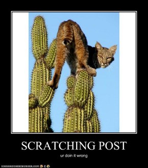 SCRATCHING POST