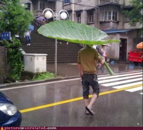All Natural Umbrella