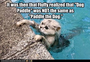 It was then that Fluffy realized that "Dog Paddle" was NOT the same as  "Paddle the Dog."