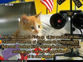 Hai!  Mai  naem is Pixie an  ai jus arribed at mai foreber hoem an  ai roed own da Unnergraund Raleroed  Reskew Kitty Netwerk an nao iz gettin reddy tu go tu Kamp KuppyKakes an  ai iz sew happee!