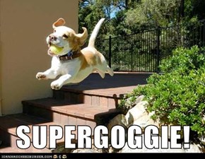 SUPERGOGGIE!