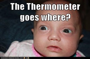 The Thermometer goes where?
